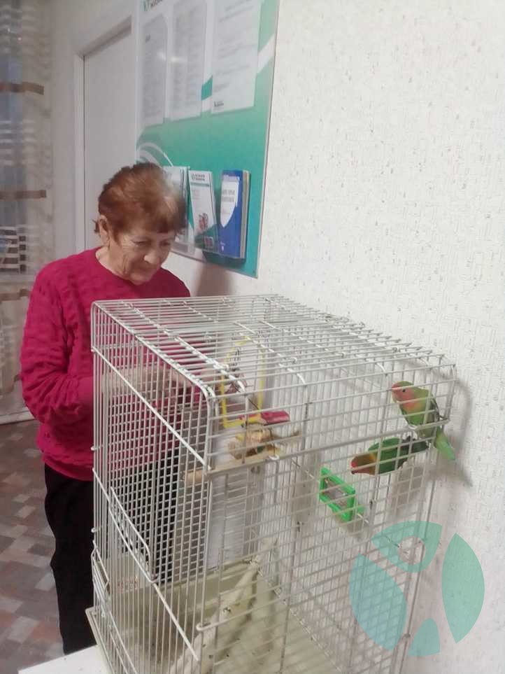 Дом престарелых г. Новосибирск: ​Частный пансионат "Новая Жизнь" в Новосибирске – это место постоянного проживания для пожилых людей